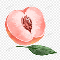 WWW,413av·COM网站APPAPP应用